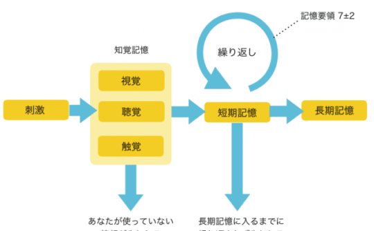 記憶の概要図