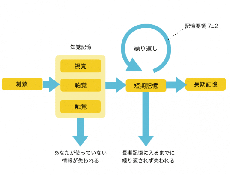 記憶の概要図