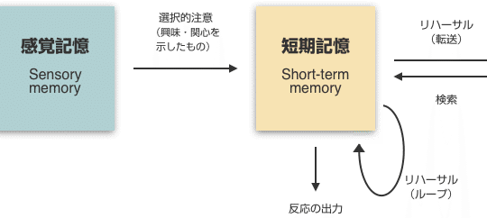 多重貯蔵モデルの図