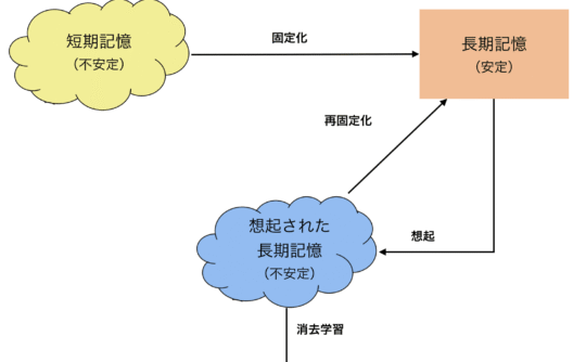 記憶想起後のプロセス