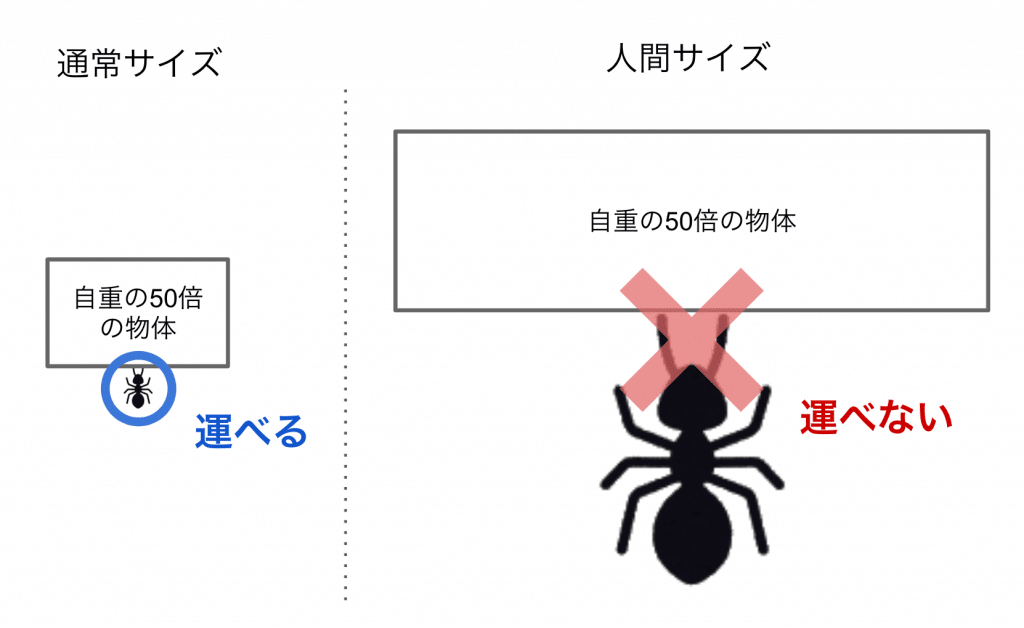 アリにおけるスケーリングの誤解例