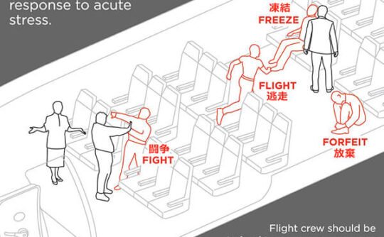 飛行機事故による乗客のストレス反応