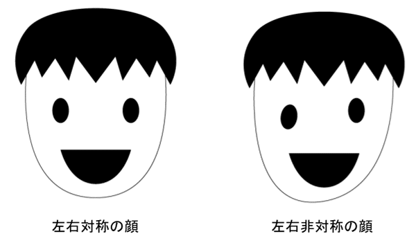 左右対称の顔と左右非対称の顔の絵