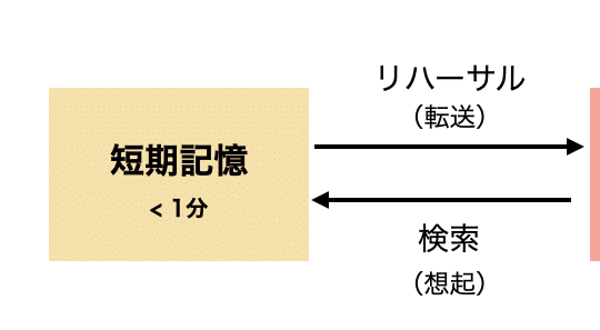 記憶の種類と保持される期間