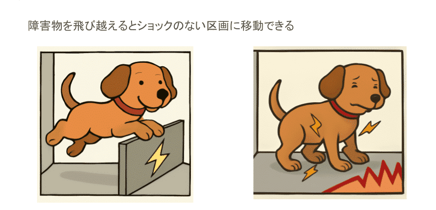 障害物を超えるとショックのない区画に移動できるが。。。