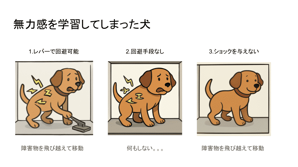 無力感を学習してしまうと。。。