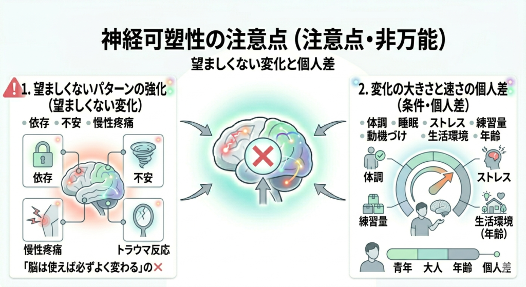 神経可塑性はいい変化だけとは限らない